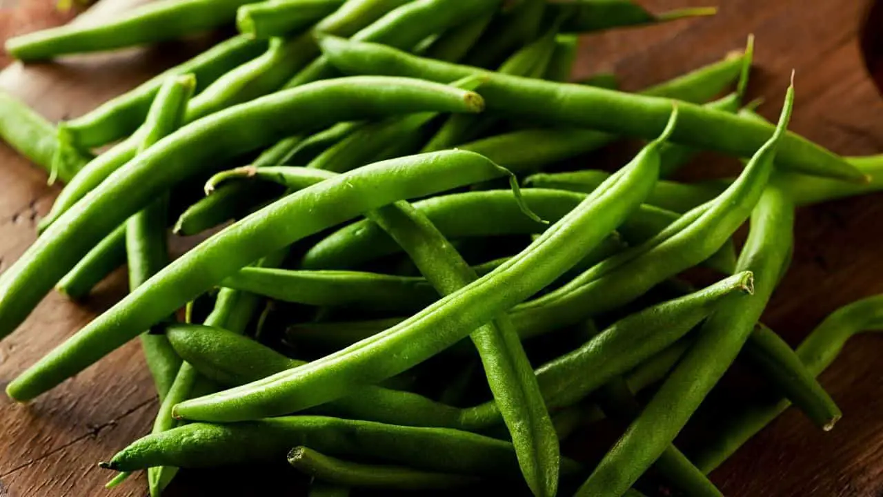 Can Rats Eat Green Beans? Are They Safe Or Toxic?