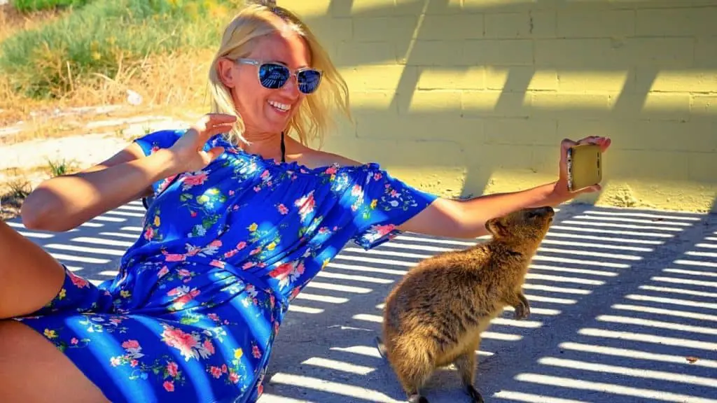 Woman making selfie with quokka